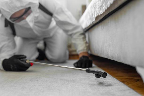 Professional Bed Bug Control technician working in Lake LeAnn, MI