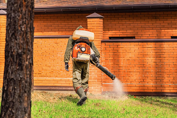 Trusted Ant Control service in Lake LeAnn, MI - Nex Pest Control